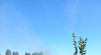Corpo de Bombeiros Militar lança Operação Cerrado Vivo 2022